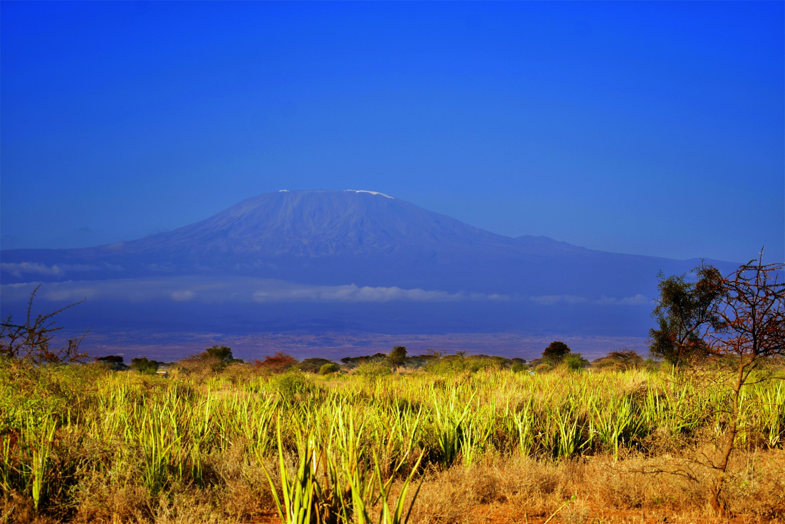 Mount Kilimanjaro Tanzania